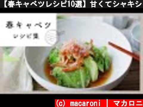 【春キャベツレシピ10選】甘くてシャキシャキ！おかず・副菜・麺類レシピが満載♪  (c) macaroni | マカロニ